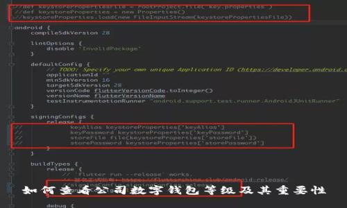 如何查看公司数字钱包等级及其重要性